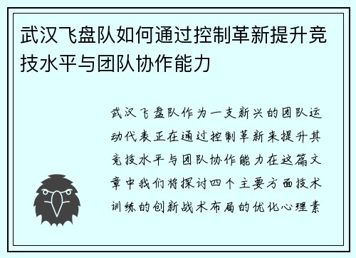 武汉飞盘队如何通过控制革新提升竞技水平与团队协作能力